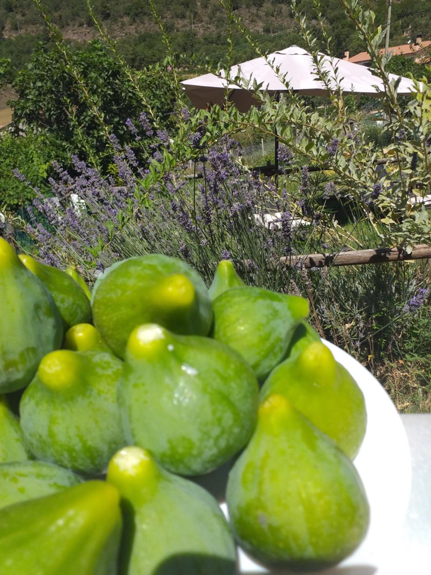 Vallo di Nera Agriturismo Campagna In Compagnia מראה חיצוני תמונה
