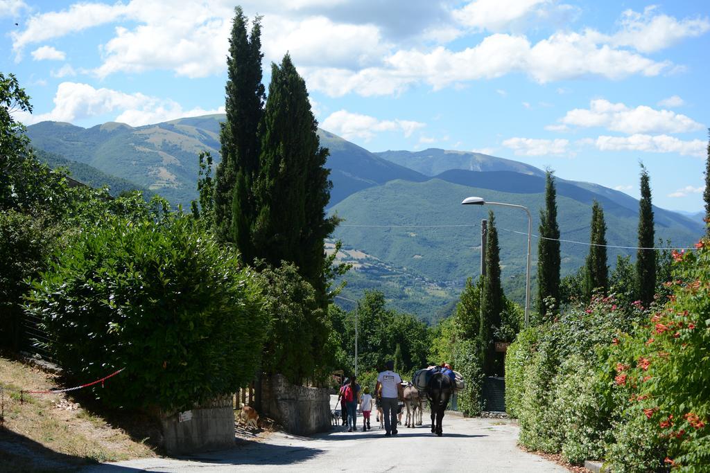 Vallo di Nera Agriturismo Campagna In Compagnia מראה חיצוני תמונה