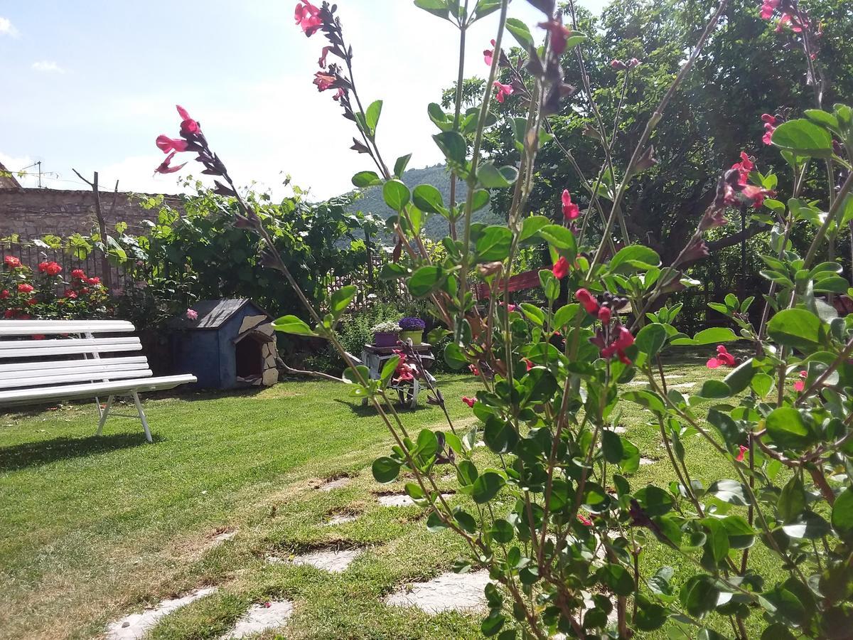 Vallo di Nera Agriturismo Campagna In Compagnia מראה חיצוני תמונה