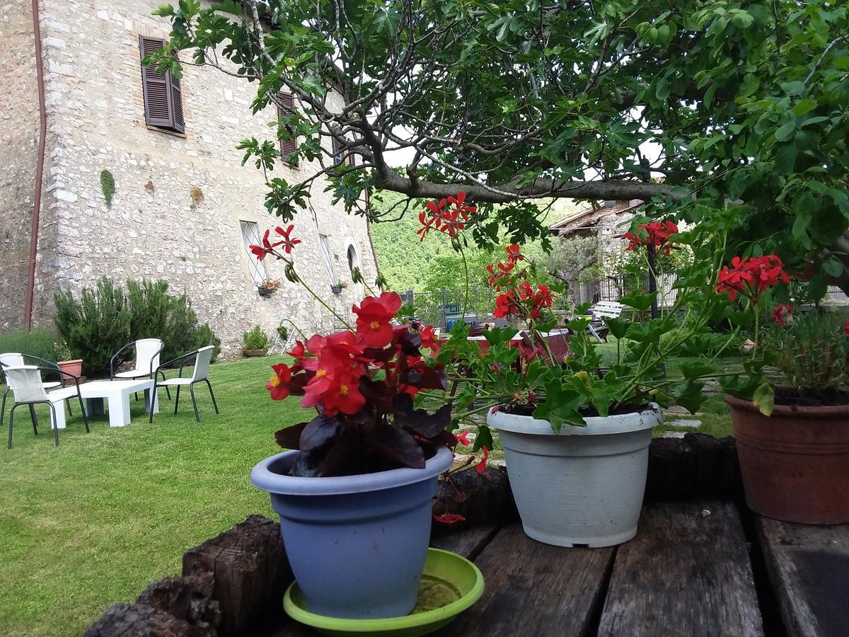 Vallo di Nera Agriturismo Campagna In Compagnia מראה חיצוני תמונה